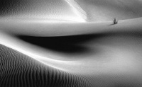 81 Arfan Asif Mohammed Rhythm of the dunes Emirats Arabes Unis    © Reflet Mondial de la Photographie 2017  Les photos sur ce CD ne sont pas libres de droits / The photos on this CD are not royalty free / De foto's op deze cd zijn niet royalty-vrije