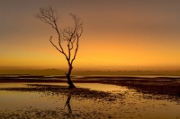 244   Jeanete Zanotto    Beachmere Sunrise  Australie      © Reflet Mondial de la Photographie 2017  Les photos sur ce CD ne sont pas libres de droits / The photos on this CD are not royalty free / De foto's op deze cd zijn niet royalty-vrije