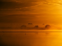 299   Dirk Leimann    Morgennebel  Belgique      © Reflet Mondial de la Photographie 2017  Les photos sur ce CD ne sont pas libres de droits / The photos on this CD are not royalty free / De foto's op deze cd zijn niet royalty-vrije