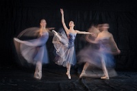 434   Kristanto Lie    Beauty in Motion  Indonésie      © Reflet Mondial de la Photographie 2017  Les photos sur ce CD ne sont pas libres de droits / The photos on this CD are not royalty free / De foto's op deze cd zijn niet royalty-vrije