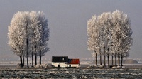 456   LYBAERT Daniel    Zeeuws winterlandschap  Pays-Bas      © Reflet Mondial de la Photographie 2017  Les photos sur ce CD ne sont pas libres de droits / The photos on this CD are not royalty free / De foto's op deze cd zijn niet royalty-vrije