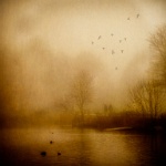 474   Sawyer Tim    Into The Mist  Royaume-Uni      © Reflet Mondial de la Photographie 2017  Les photos sur ce CD ne sont pas libres de droits / The photos on this CD are not royalty free / De foto's op deze cd zijn niet royalty-vrije