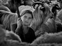 149   Istvan Kerekes  Shepherd girl   Hongrie      © Reflet Mondial de la Photographie 2017  Les photos sur ce CD ne sont pas libres de droits / The photos on this CD are not royalty free / De foto's op deze cd zijn niet royalty-vrije