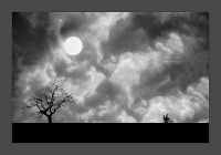 158   Sanjib Paul  FULL MOON   Inde      © Reflet Mondial de la Photographie 2017  Les photos sur ce CD ne sont pas libres de droits / The photos on this CD are not royalty free / De foto's op deze cd zijn niet royalty-vrije