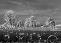 191   LYBAERT Daniel  Bevroren waterplas in ZwW   Pays-Bas      © Reflet Mondial de la Photographie 2017  Les photos sur ce CD ne sont pas libres de droits / The photos on this CD are not royalty free / De foto's op deze cd zijn niet royalty-vrije