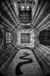 209   Sawyer Tim  Cathedral Ceiling   Royaume-Uni      © Reflet Mondial de la Photographie 2017  Les photos sur ce CD ne sont pas libres de droits / The photos on this CD are not royalty free / De foto's op deze cd zijn niet royalty-vrije