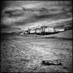 31   CHRISTIAN DEVERS  Abandonné   Belgique      © Reflet Mondial de la Photographie 2017  Les photos sur ce CD ne sont pas libres de droits / The photos on this CD are not royalty free / De foto's op deze cd zijn niet royalty-vrije