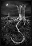 5   Rovagnati Daniel  El Diablo   Argentine      © Reflet Mondial de la Photographie 2017  Les photos sur ce CD ne sont pas libres de droits / The photos on this CD are not royalty free / De foto's op deze cd zijn niet royalty-vrije