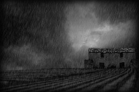 68   Luc Severs  Le champ sous la pluie   Belgique      © Reflet Mondial de la Photographie 2017  Les photos sur ce CD ne sont pas libres de droits / The photos on this CD are not royalty free / De foto's op deze cd zijn niet royalty-vrije