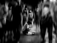 98   Barreiro Manu  Loneliness   Espagne      © Reflet Mondial de la Photographie 2017  Les photos sur ce CD ne sont pas libres de droits / The photos on this CD are not royalty free / De foto's op deze cd zijn niet royalty-vrije