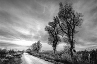 89 Cambon Michel Le Chemin de l'espoir France    © Reflet Mondial de la Photographie 2017  Les photos sur ce CD ne sont pas libres de droits / The photos on this CD are not royalty free / De foto's op deze cd zijn niet royalty-vrije